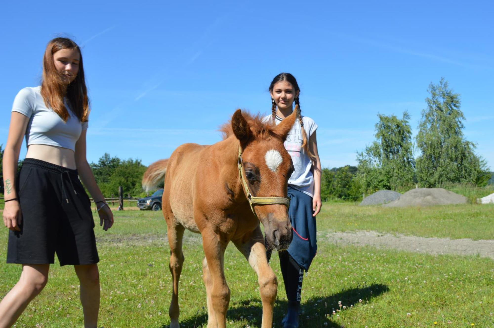 Bubla City Ranch Kopřivnice Dış mekan fotoğraf