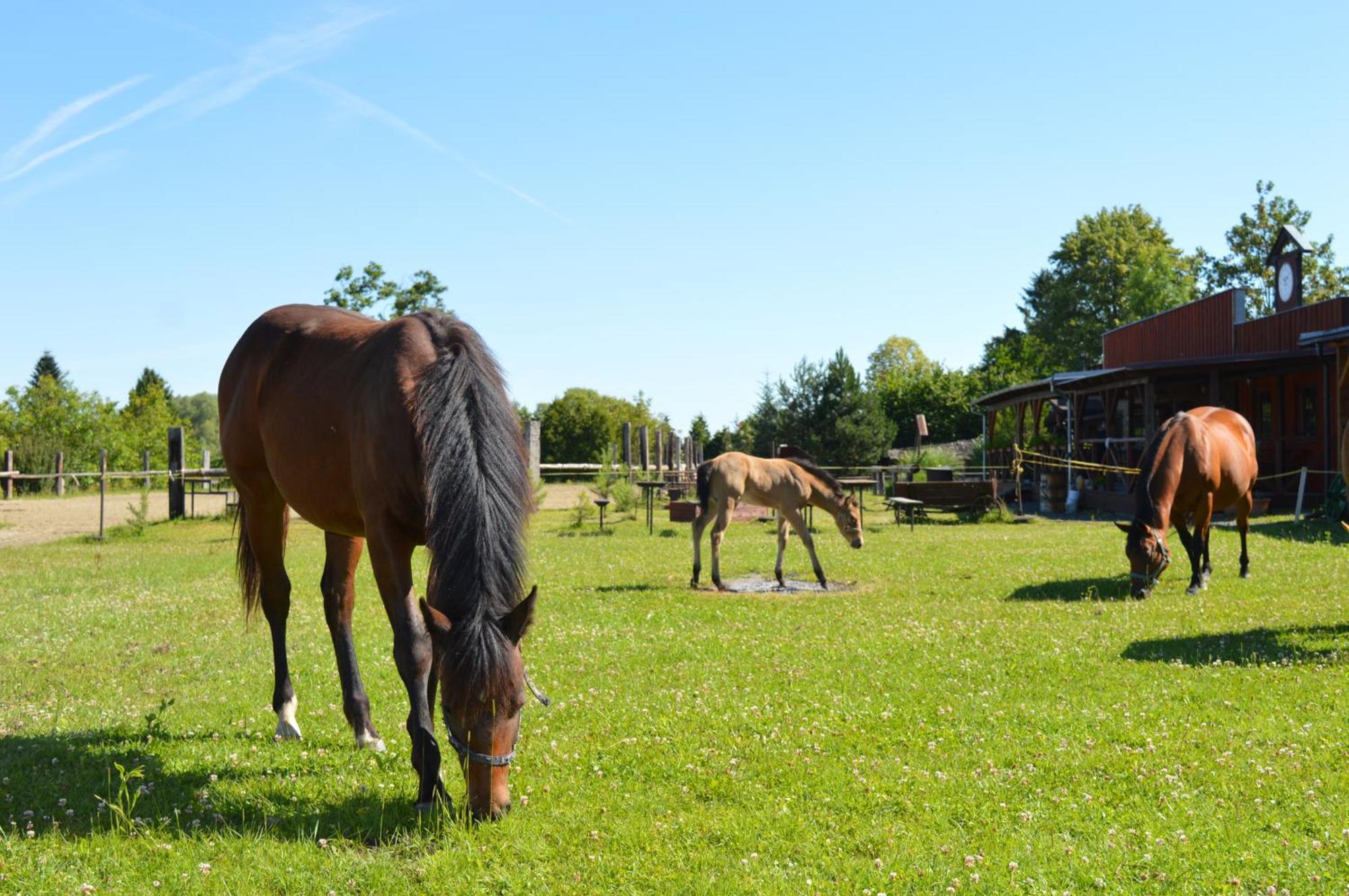 Bubla City Ranch Kopřivnice Dış mekan fotoğraf